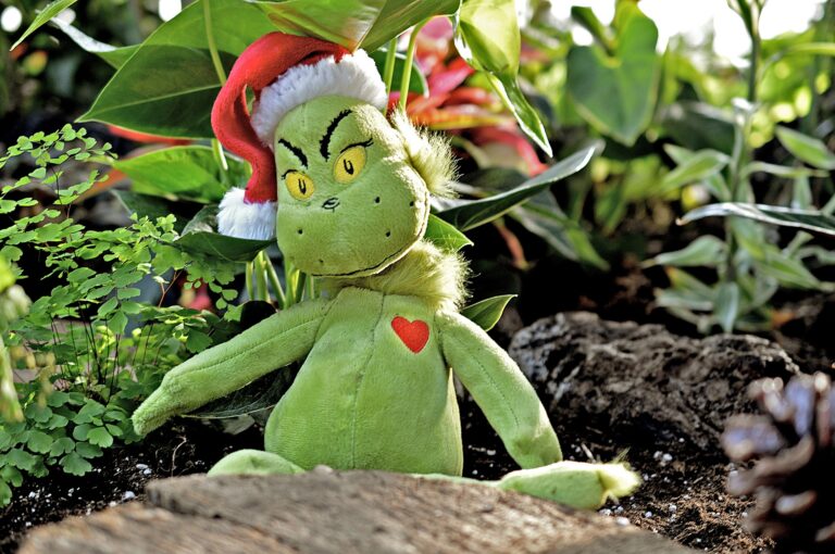 THE GRINCH’S GROTTO Tickets OnSale Now! Coast to coast TV